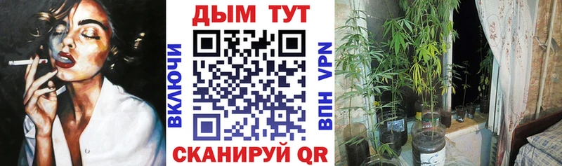 цены наркотик  Солнечногорск  Бошки марихуана VHQ 